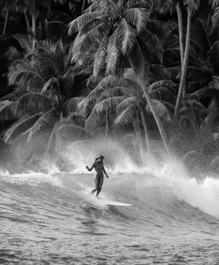 A surfer rides a wave near the shore, surrounded by splashing water, with tall palm trees densely packed in the background. The photo is in black and white.