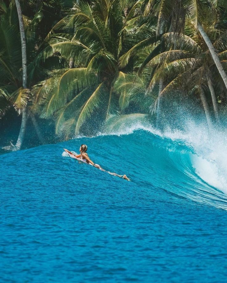 A surfer paddles on a surfboard toward a breaking wave in vibrant blue water, with lush palm trees and dense tropical greenery lining the shore in the background.