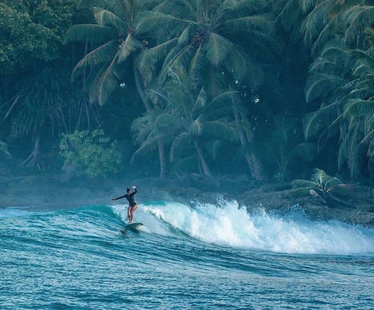 A surfer rides a blue wave near the shore, surrounded by lush tropical palm trees and dense greenery in the background.
